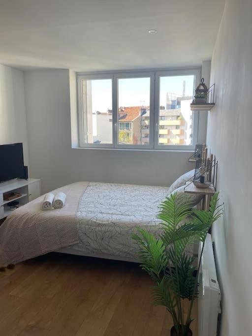 Apartment Cosy Rue Alexander Taylor, Wifi, 2 Pers Pau