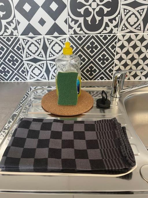 Cosy Rue Alexander Taylor, Wifi, 2 Pers Apartment Pau